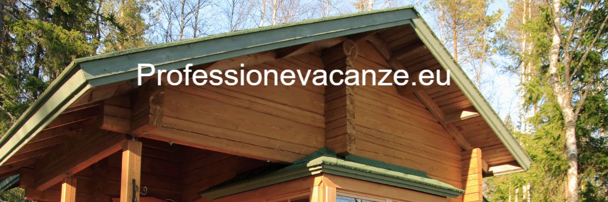 professionevacanze.stereotv.top